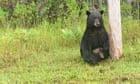 Florida police tell people to stop taking selfies with ‘depressed’ black bear