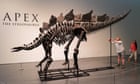 Largest, most intact stegosaurus fossil ever found sells for $44.6m