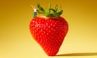 Start your day on a strawberry: 15 microhabits for calmer, healthier mornings