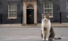 Starmer leads with compromise for new family pet – and gets ‘dog-like’ cat