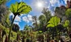 ‘Secret Garden on steroids’: the Cornish cottage that comes with its own jungle and private beach