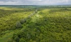 ‘A special place’: Guardian readers’ generosity helps to save rewilded farm