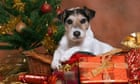 UK sales of seasonal pet treats, toys and food rocketing