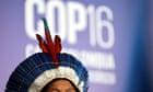 Cop16 ends in disarry and indecision despite biodiversity breakthroughs