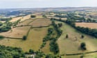 Thousands of trees planted in Devon to start creation of Celtic rainforest