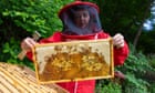 A moment that changed me: I tasted honey so sublime, I gave up my career to keep bees