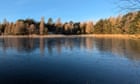 Country diary: Somewhere around this glorious loch, beavers are at work | Merryn Glover