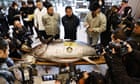 Sushi restaurateurs fork out $1.3m for motorbike-sized tuna at auction in Tokyo