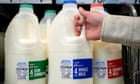 Full-fat milk sales rise as UK’s appetite for low-calorie options cools