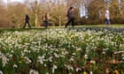 UK weather: temperatures could hit 14C this week after ‘anticyclonic gloom’