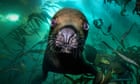 Seals, sharks and spiny squat lobsters: Underwater Photographer of the Year 2025 – in pictures