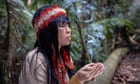 ‘This is your mission’: why one Brazilian doctor is training to be a shaman